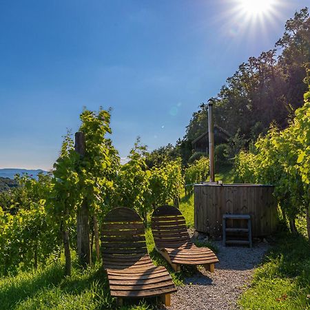 Vineyard Cottage Skatlar 3 Otočec Buitenkant foto