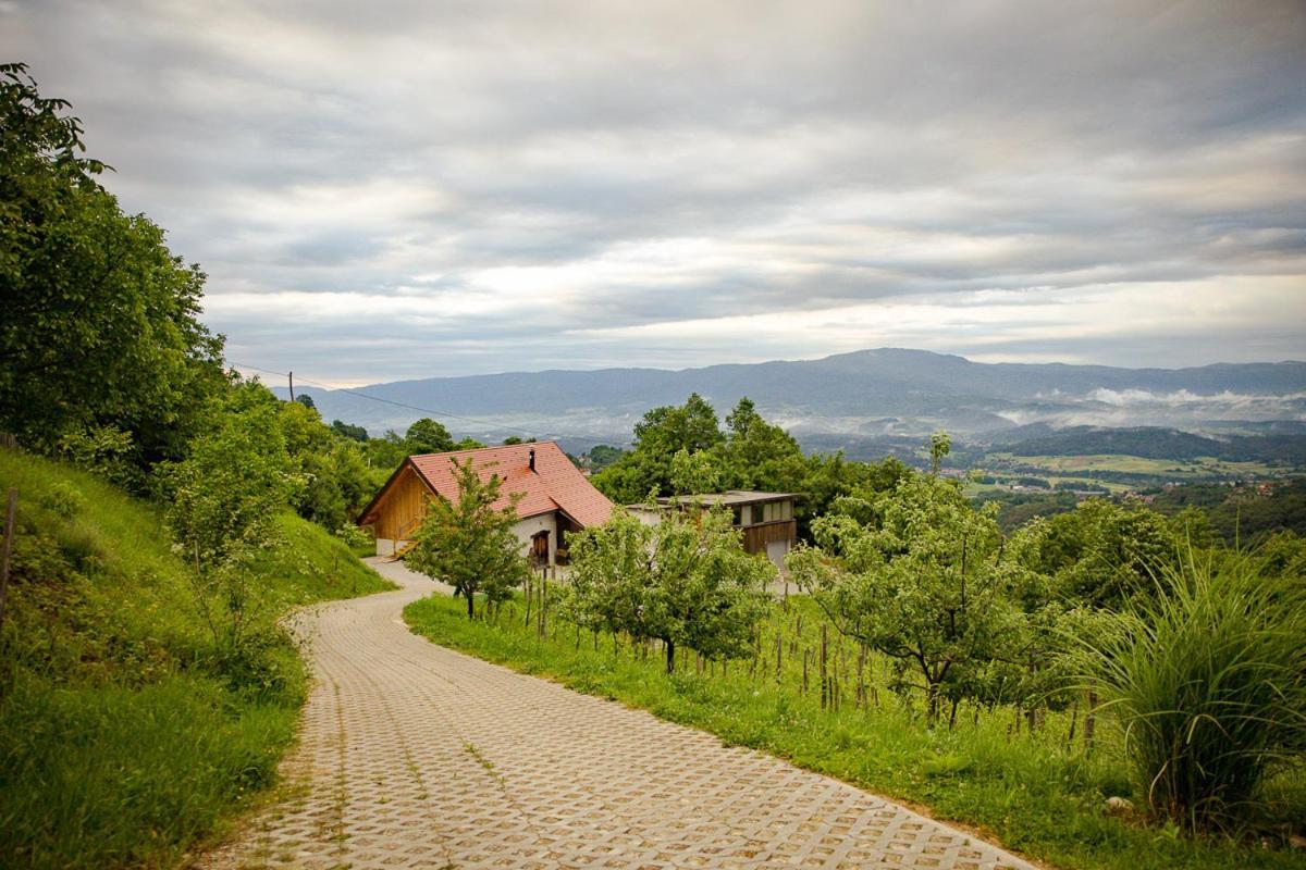 Vineyard Cottage Skatlar 3 Otočec Buitenkant foto