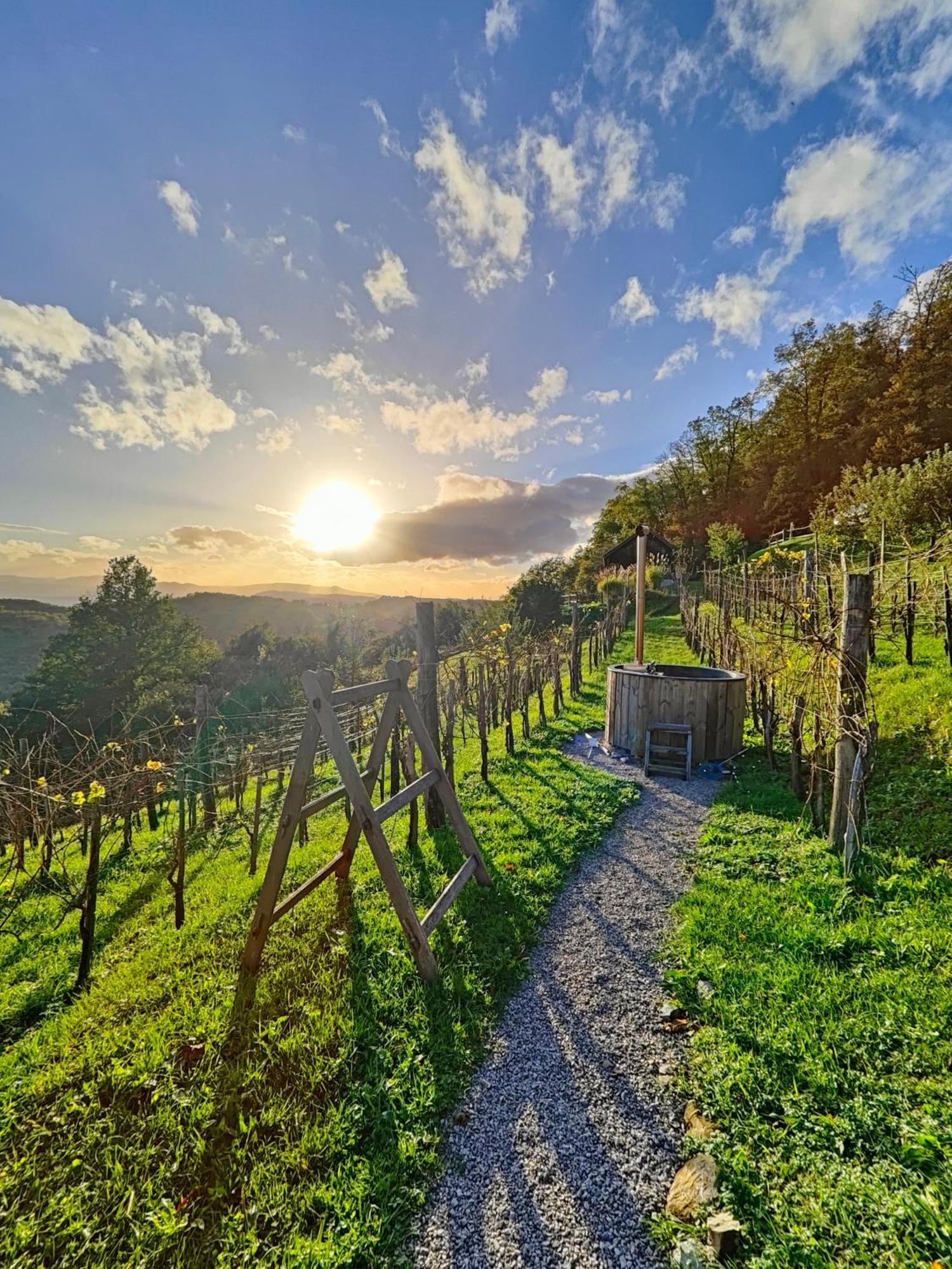 Vineyard Cottage Skatlar 3 Otočec Buitenkant foto