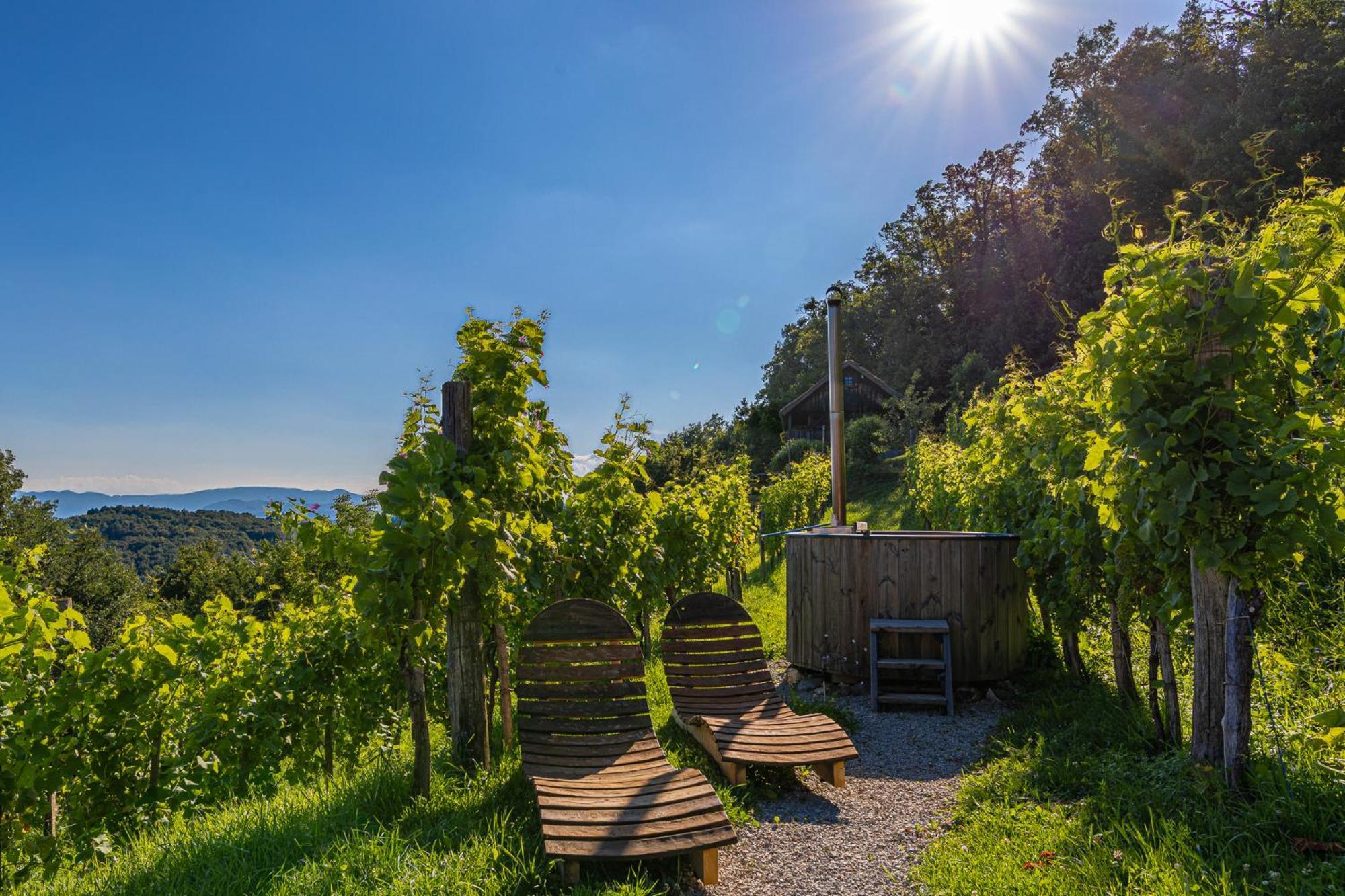 Vineyard Cottage Skatlar 3 Otočec Buitenkant foto